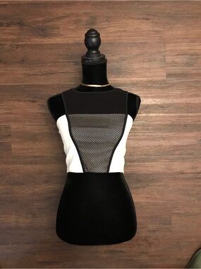 Express Mesh Panel Crop Top